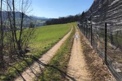 Februarwanderung-Rickenbach-Zunzgen-16