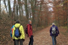 Wanderung-an-der-Birs-entlang-Nov.-2019-2