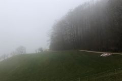 Novemberwanderung-Buus-Waldegg-Maisprach-2021-1