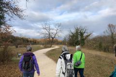 Wanderung-an-der-Birs-entlang-Nov.-2019-10