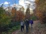 Wanderung Hölstein - Zunzgen  November 2022